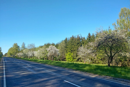 在晴朗的日子里，春天乡村道路的美景。