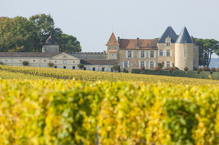 葡萄园和酒庄 dYquem, Sauternes Region