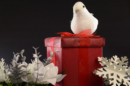 红色白鸽背景摄影照片_红色圣诞礼物