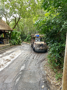 沃尔特迪斯尼世界动物王国的一辆 Kilomanjari Safari 卡车