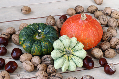 南瓜坚果摄影照片_静物与秋天的产品 — 南瓜、葫芦、坚果、车