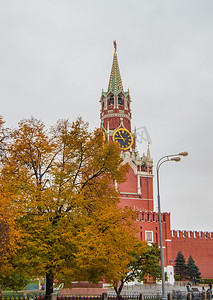 俄罗斯莫斯科克里姆林宫 Spasskaya 钟楼背景下的秋黄树
