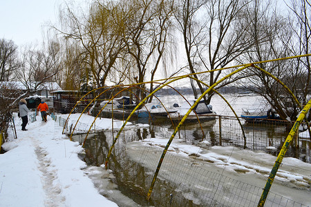 冬栅栏摄影照片_船、浮桥、房屋、栅栏、树木，当 Borcea 草甸溢出时 5