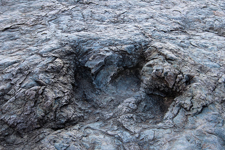 恐龙挖掘摄影照片_巨大的恐龙脚印，马拉瓜，玻利维亚