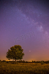 夜晚和星星景观：夜晚清澈的银河，孤独的田野和树木