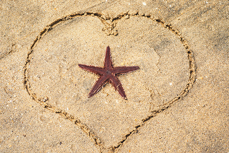 海星图案摄影照片_躺在沙滩上的海星。