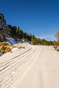 希腊南伯罗奔尼撒的 Ziria 山雪路，冬日有杉树