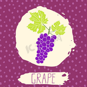 葡萄手绘素描水果与叶背景与圆点图案。