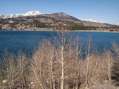 美丽的湖、雪山和松树