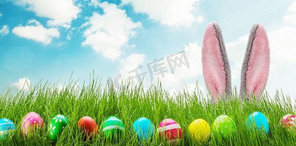 白色兔子摄影照片_有趣的复活节兔子耳朵蛋和草
