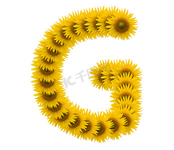字母 G，孤立在白色背景上的向日葵