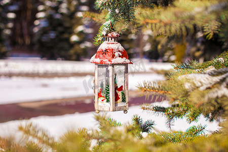 雪冬日冷杉树枝上的装饰圣诞灯笼
