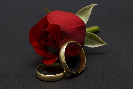 玫瑰花黑色摄影照片_结婚戒指和黑色的红玫瑰。