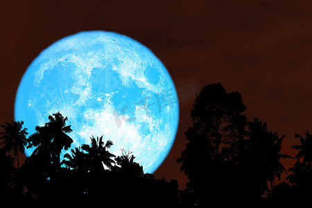 超级收获蓝月亮剪影树在夜晚的红色天空