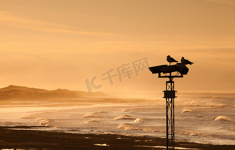 海洋矿产摄影照片_日落时柱上的两只海鸥