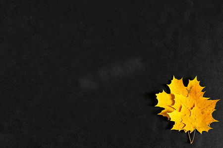 黑色背景中的秋天黄色枫叶，金色的秋天，九月，十月，十一月，复制空间，从顶部看，弗拉特利