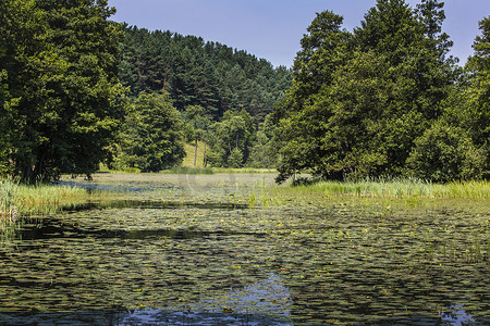 风景六月摄影照片_图尔图尔的黑汉查河。
