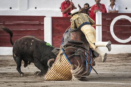 2011 年 8 月 28 日，西班牙哈恩省利纳雷斯，一头 640 公斤重的勇敢的黑色公牛在一场巨大的猛攻中将马从直升机中撞倒