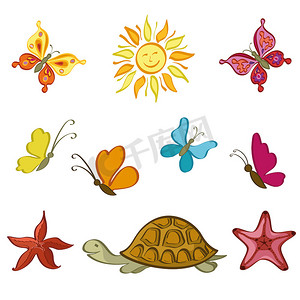 太阳、蝴蝶、乌龟和海星