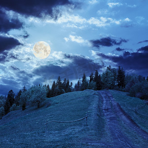 月光下的山林小路
