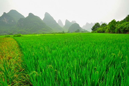 Guilin Li river Karst mountain landscape in Yangshuo