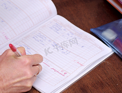 手写在学校日记