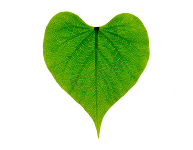 心形绿叶，象征着对环境的热爱和可持续发展的未来