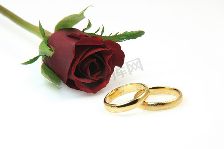 金戒指和玫瑰