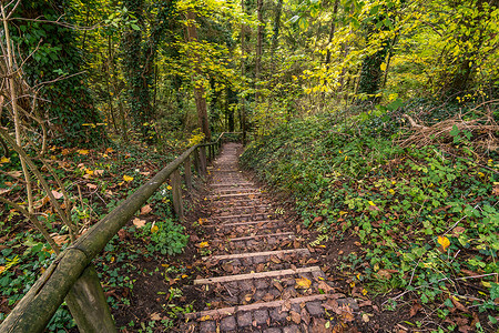 奇妙摄影照片_沿着 Aachtobel 到 Hohenbodman 观景塔的奇妙秋季徒步旅行