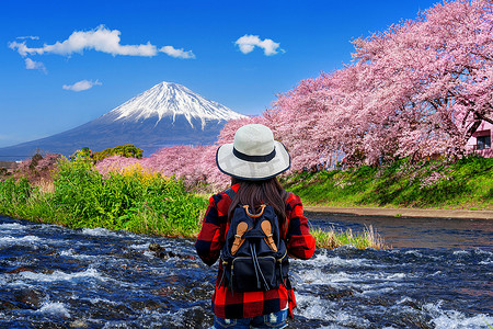 在日本静冈看樱花和富士山的游客。