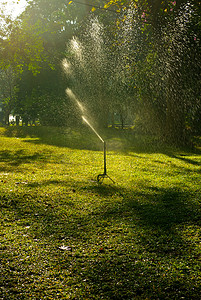 草坪洒水器在绿草上喷水