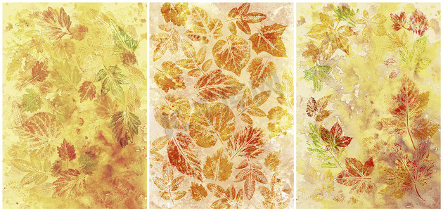 水彩花卉叶子摄影照片_抽象背景，水彩，叶子