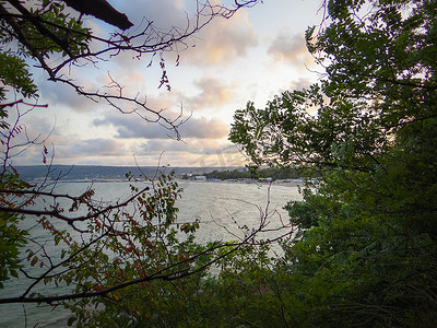 天空和树枝摄影照片_树枝和大海穿过的绝佳景观。