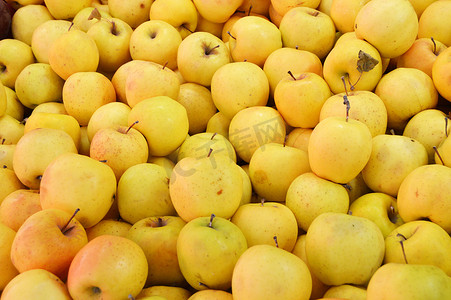 黄苹果摄影照片_红苹果、青苹果、黄苹果、图片的蔬菜水果商和销售