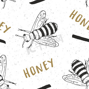蜜蜂手绘无缝图案，带文字蜂蜜矢量图解