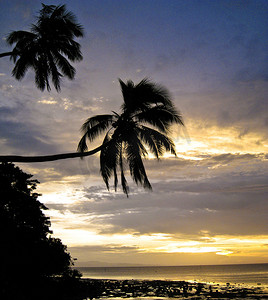 斐济美丽的图片