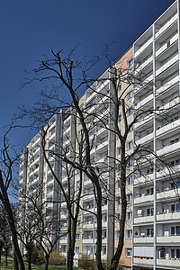 住宅楼正面摄影照片_一棵树的树枝与一栋现代住宅楼的正面相映成趣