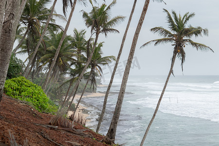 省份版图摄影照片_Mirissa 椰子树山是南部省份最好的旅游目的地之一，享有海景