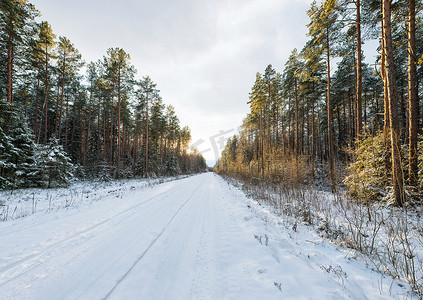 在冬天风景的空的积雪的路