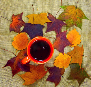 秋叶背景下带茶的红杯
