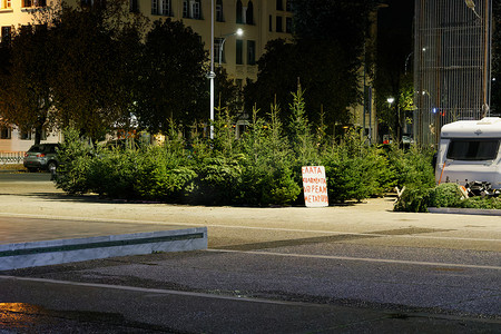 塞萨洛尼基摄影照片_塞萨洛尼基，希腊 真正的圣诞树在市中心出售。