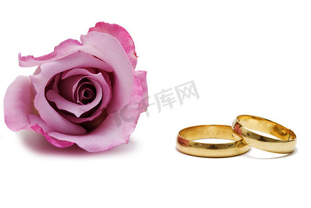 玫瑰花黑色摄影照片_白色的粉红玫瑰和结婚戒指。
