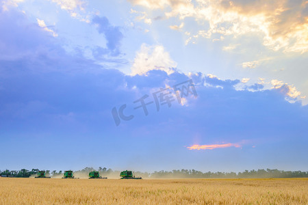 四台联合收割机在美丽的日落天空下收割小麦