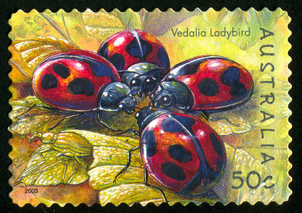 昆虫邮票摄影照片_邮票