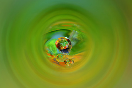 滴落在绿色隧道中的水滴