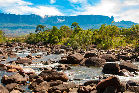 Roraima Tepui, 大萨巴纳, 委内瑞拉