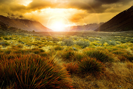 新西兰空旷地区草地后升起的太阳