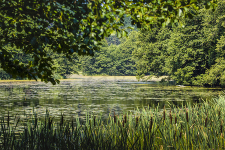 风景六月摄影照片_图尔图尔的黑汉查河。