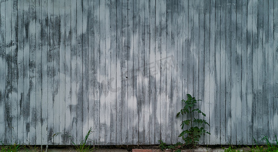 灰色木墙，前面有小灌木，草叶很少