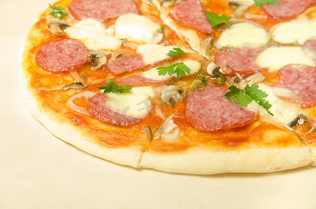 意大利腊肠和马苏​​里拉奶酪的家庭披萨